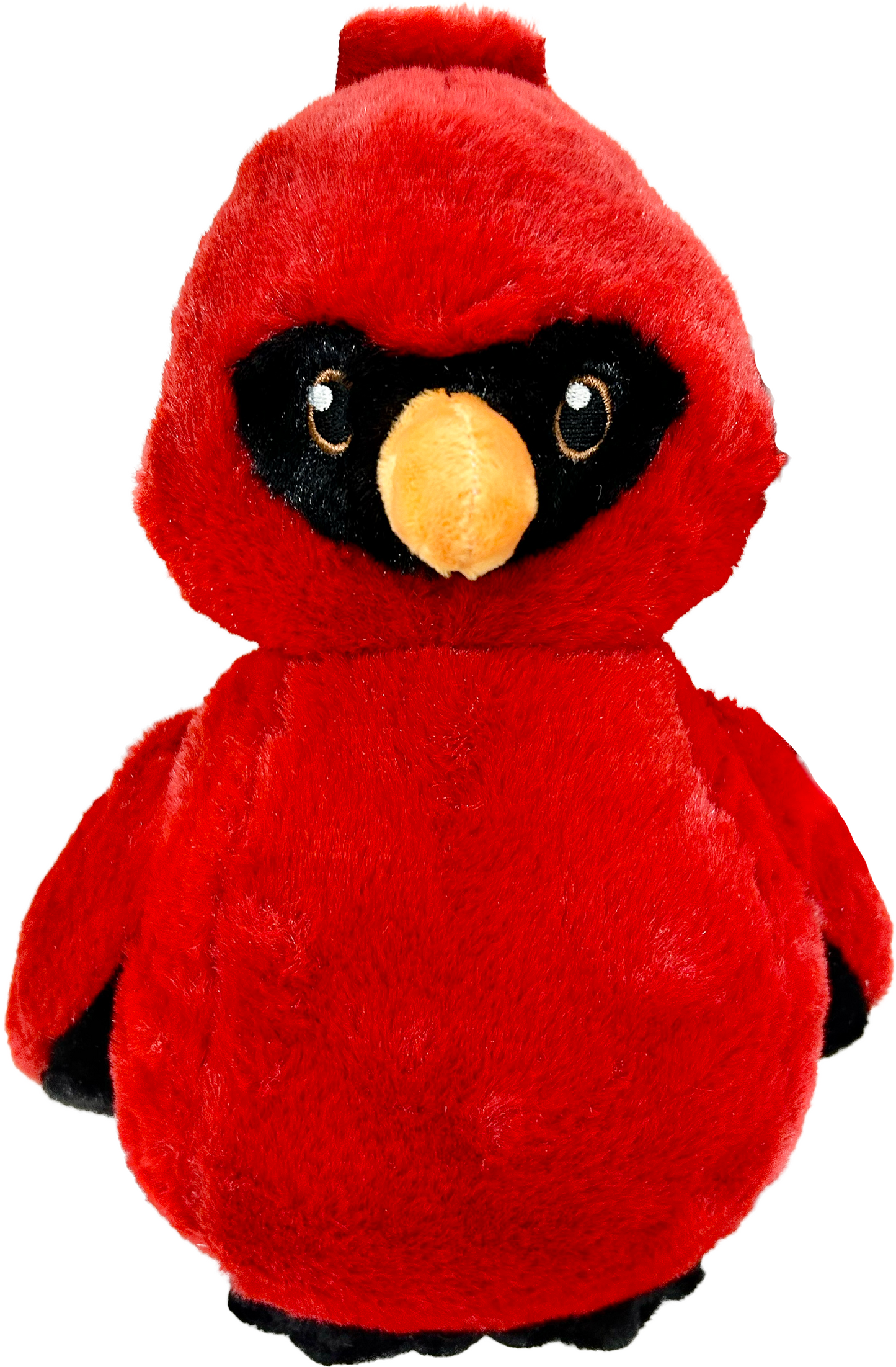Cardinal front