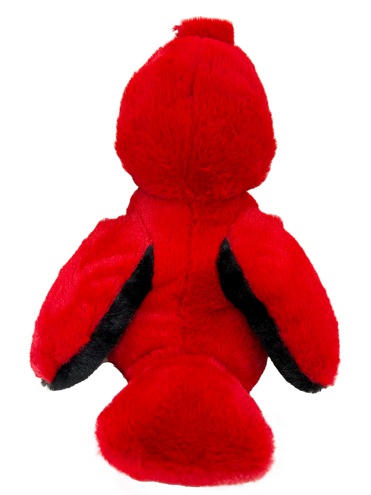 cardinal back