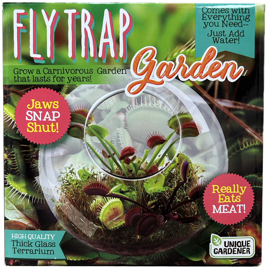 Fly Trap garden box front