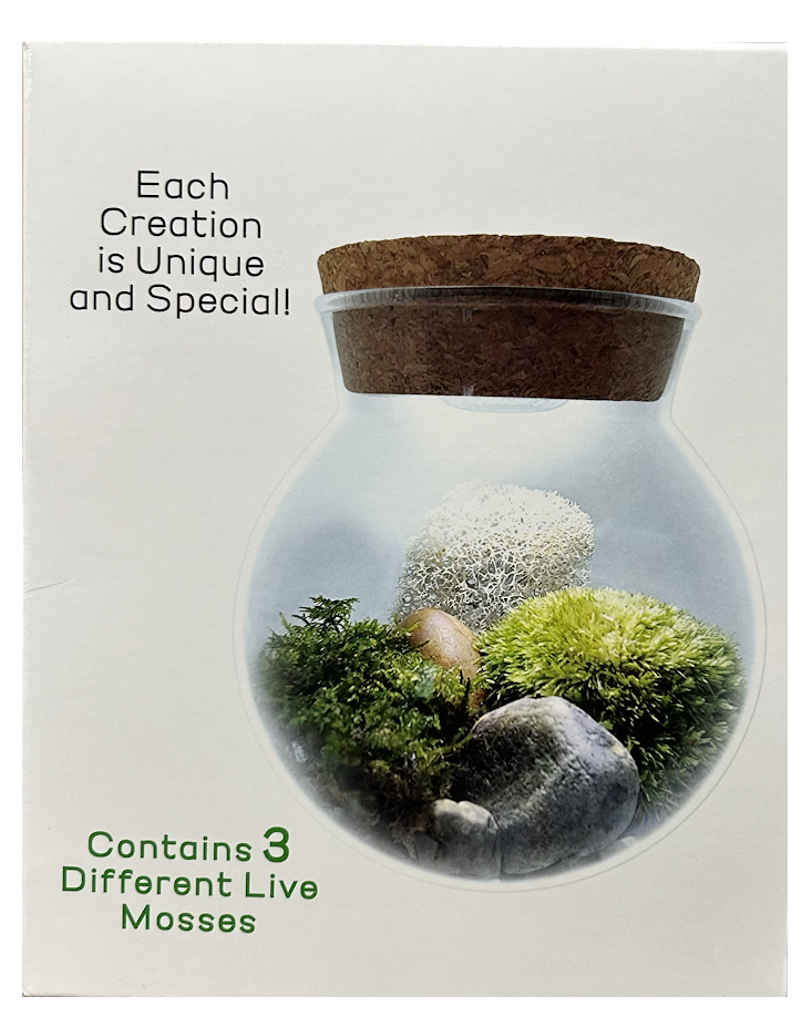 Moss bowl box side