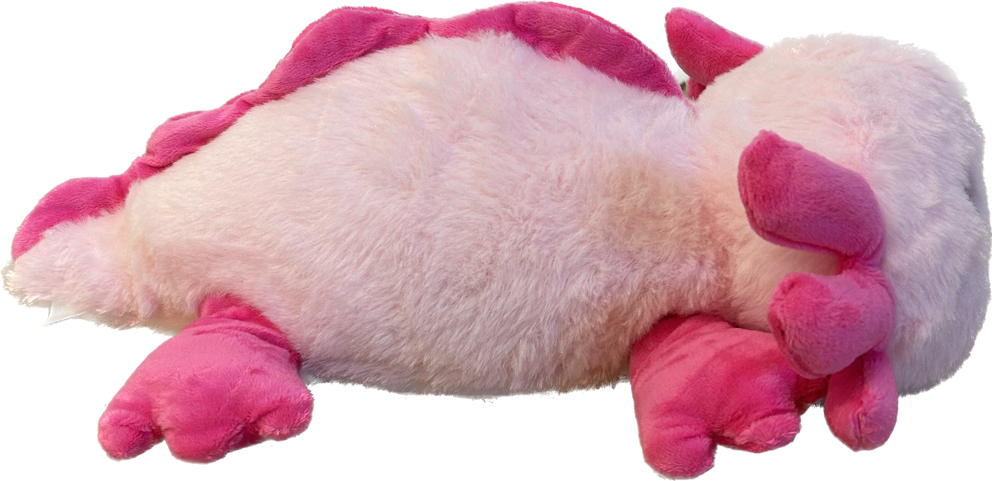 axolotl warm pal side view