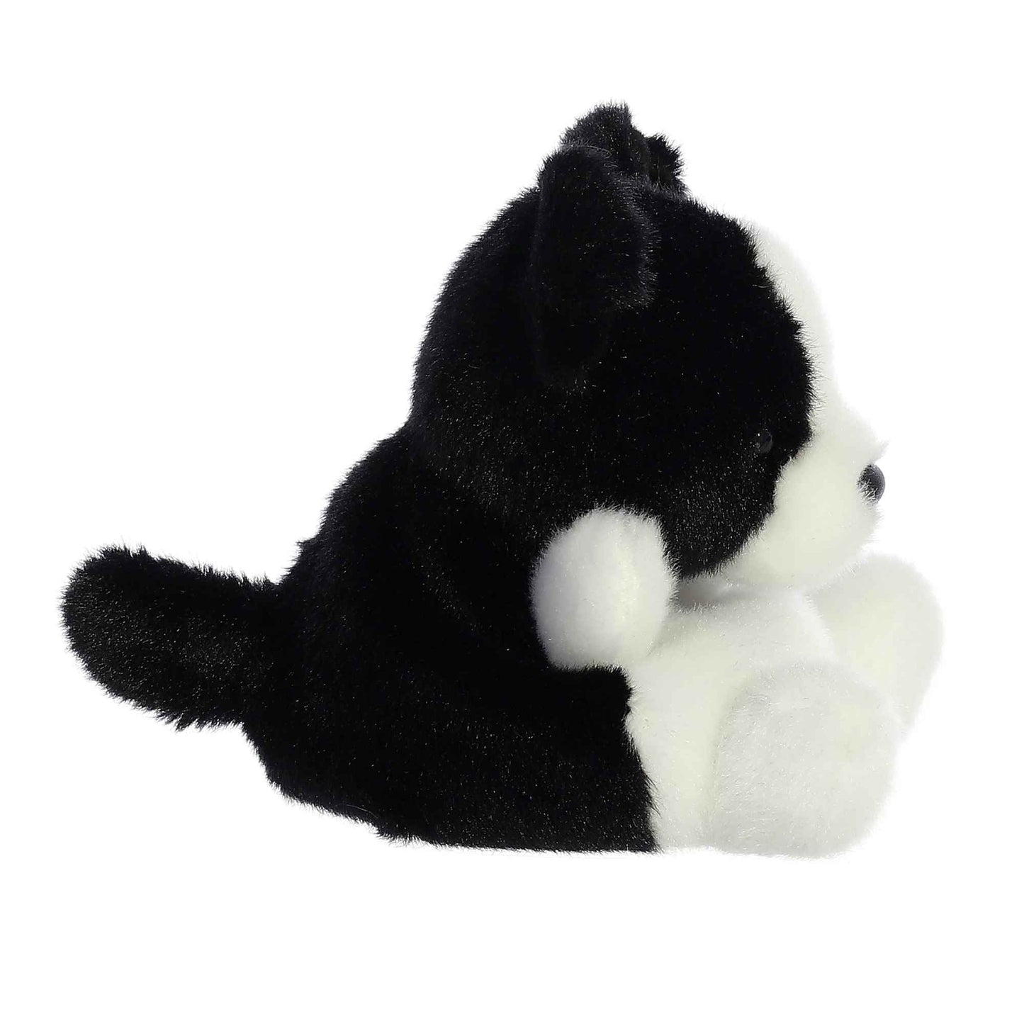 black and white dog palm pal side