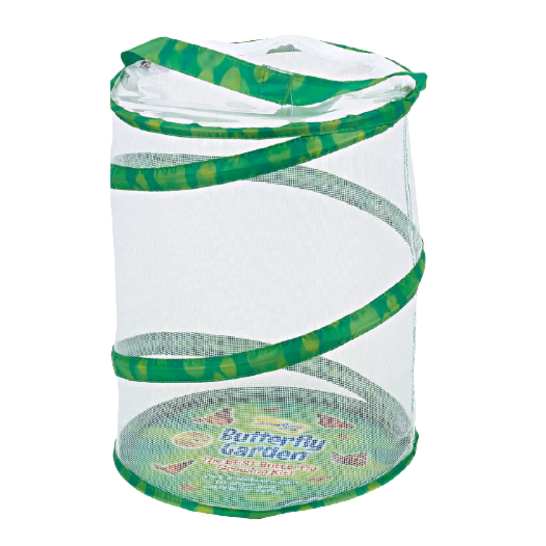 butterfly garden mesh enclosure