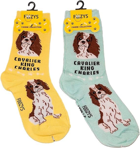 Cavalier King Charles Socks