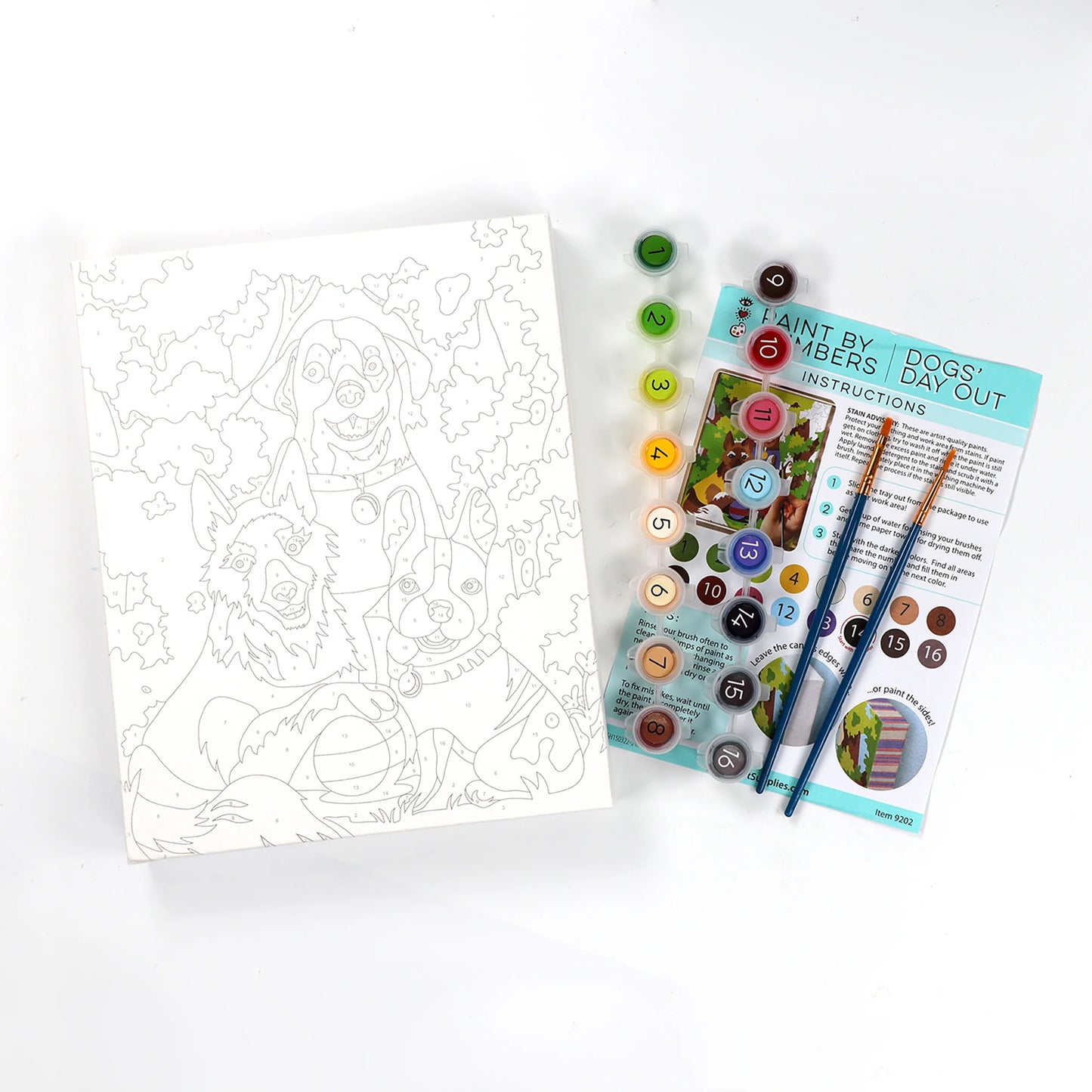 canvas, paint, pain brushes, instructions