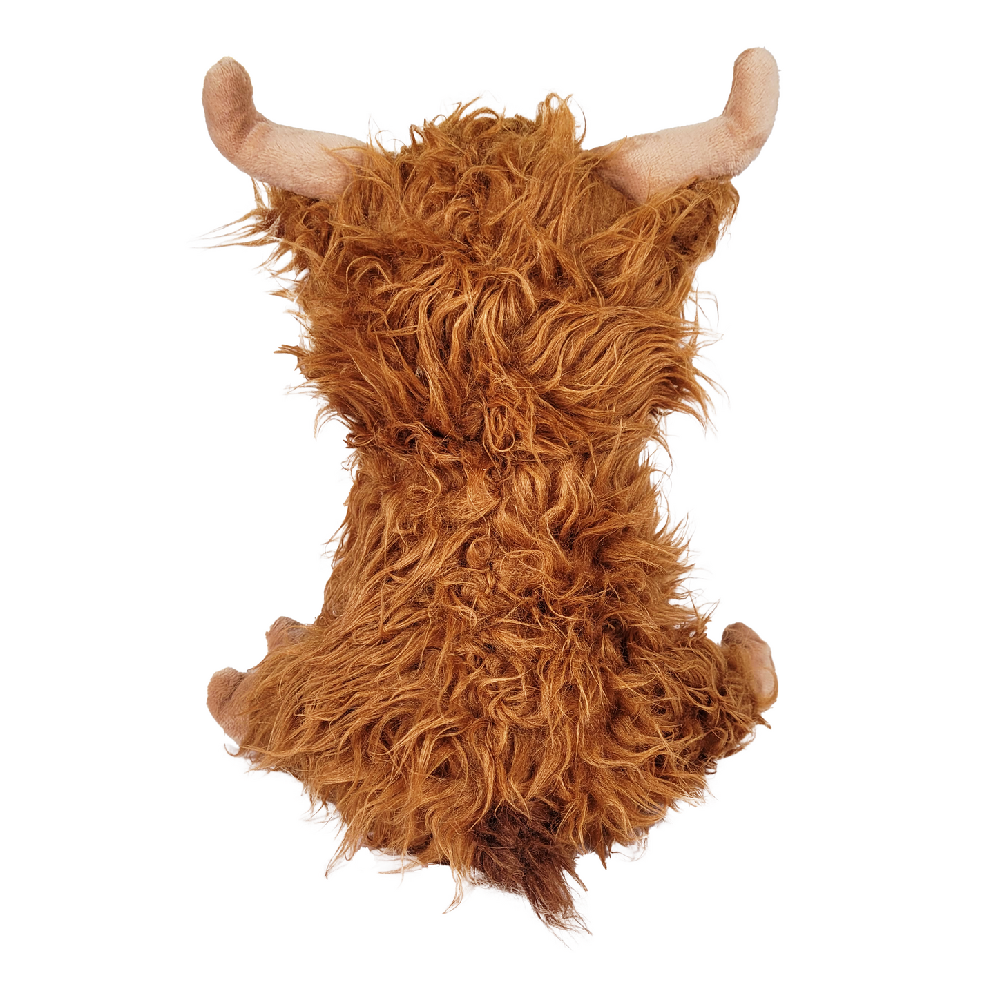 highland cow back