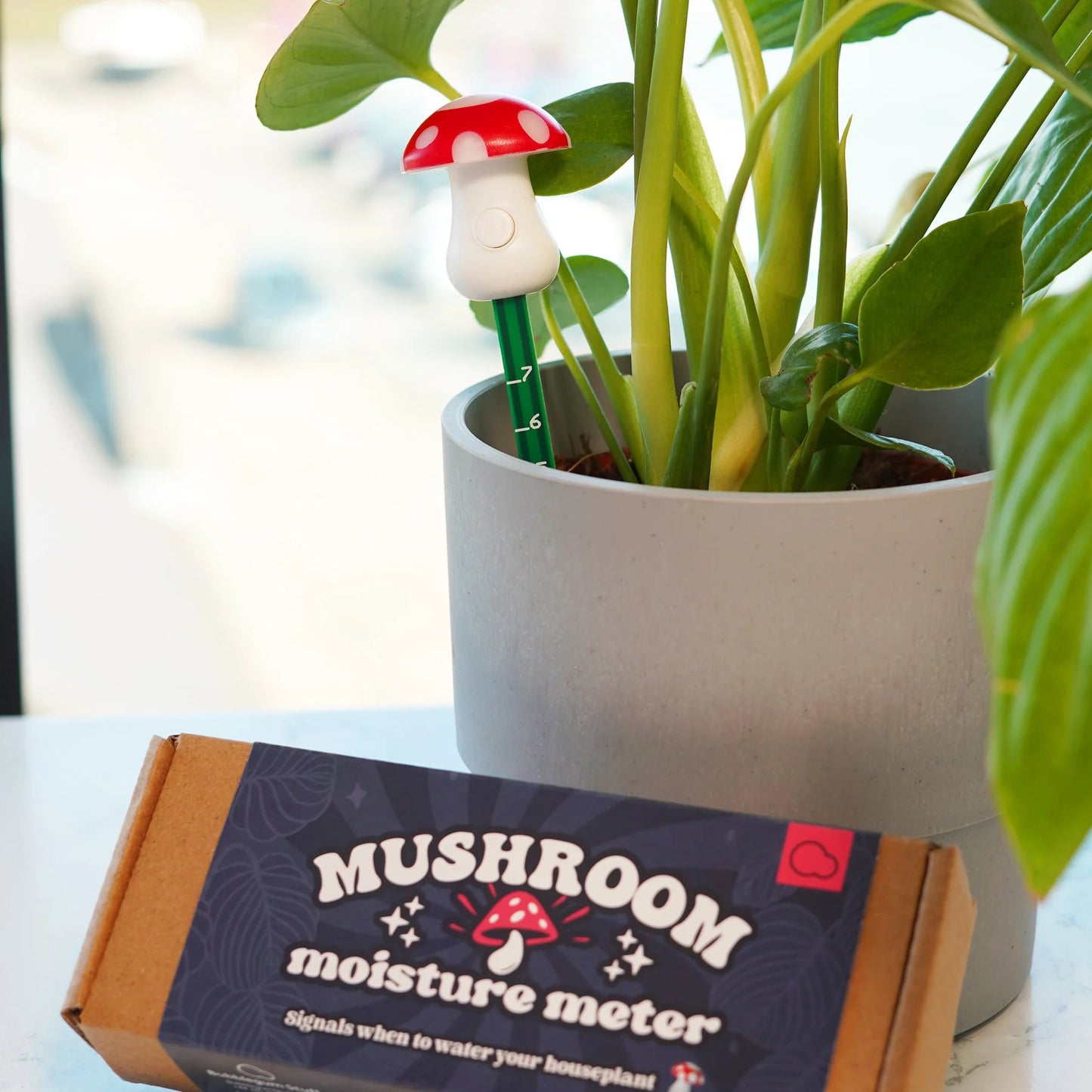 moister meter in plant pot with packaging