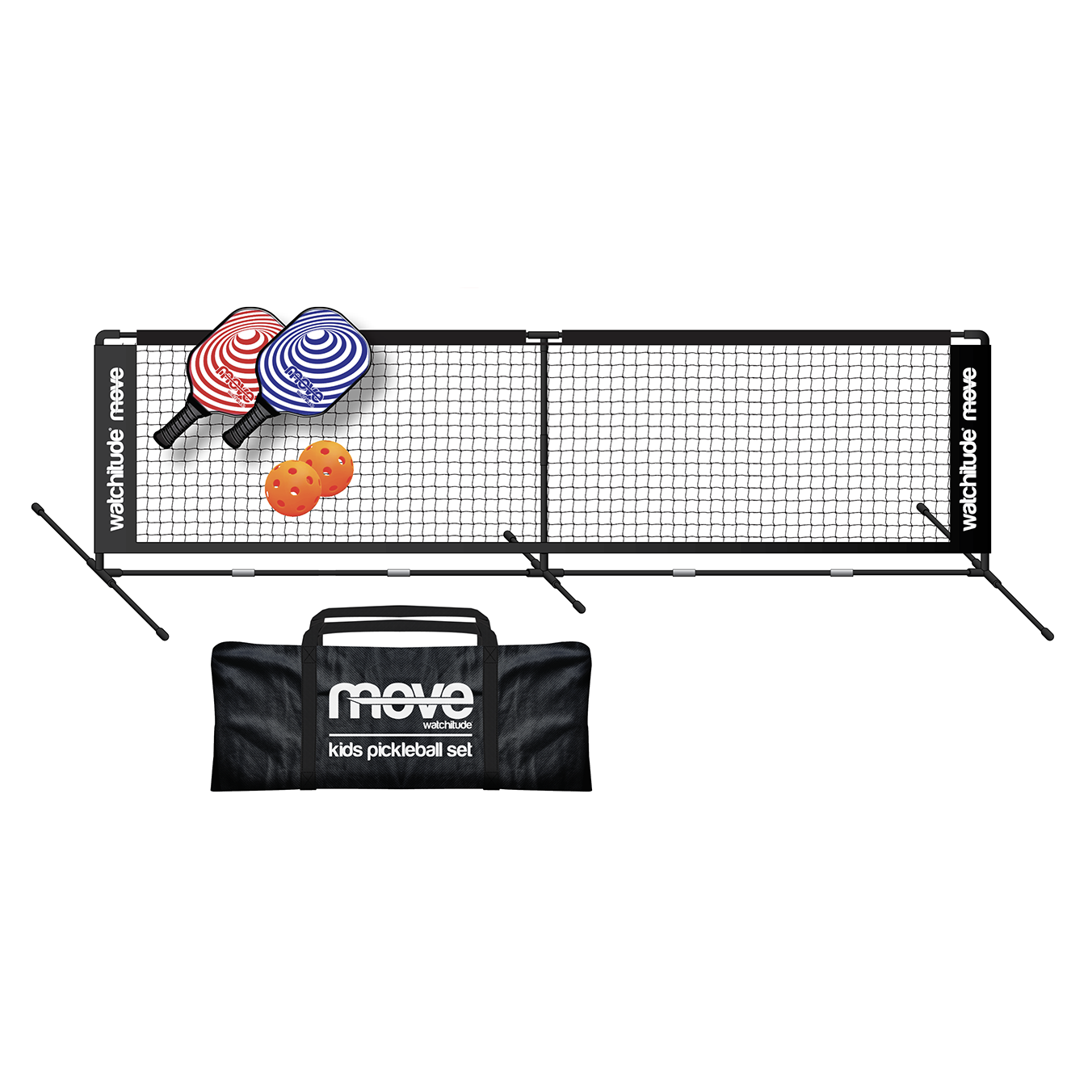 pickleball set