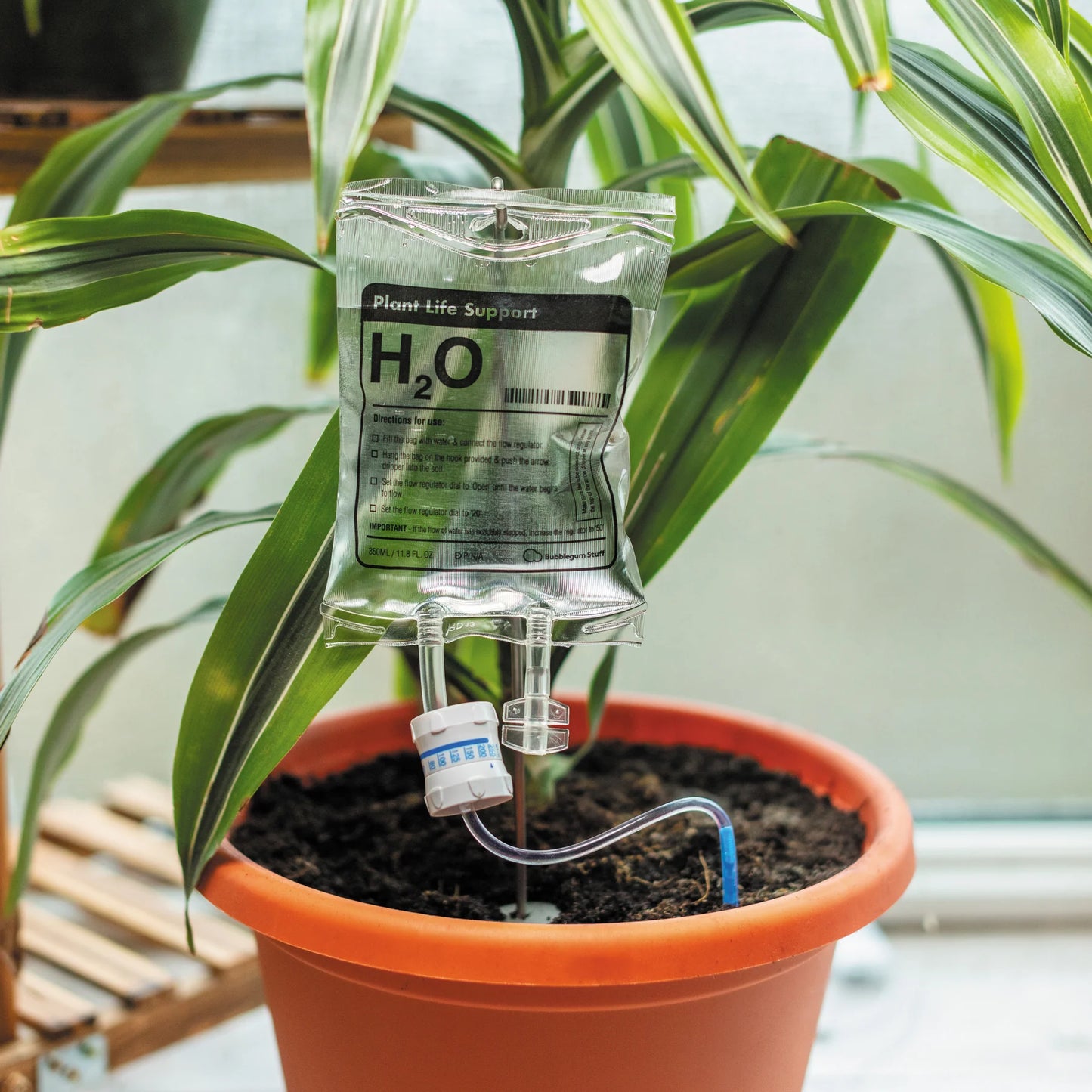 plant life support in plant pot