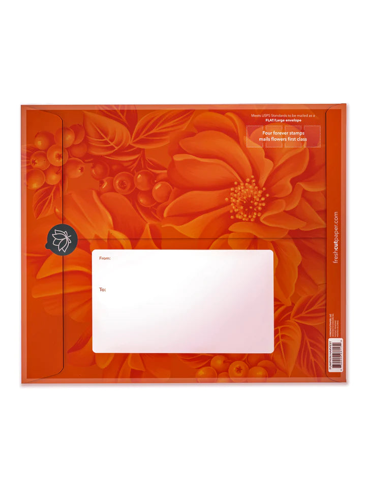 package back