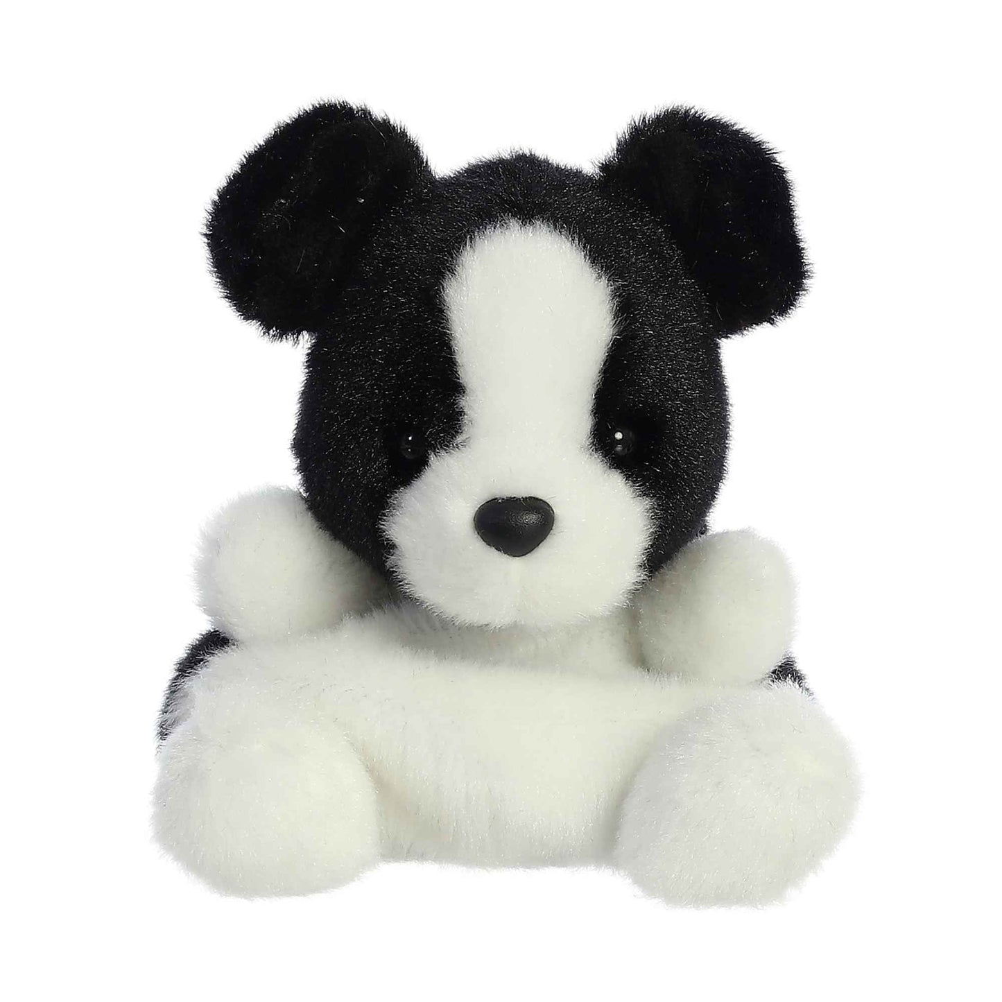 black and white dog palm pal front