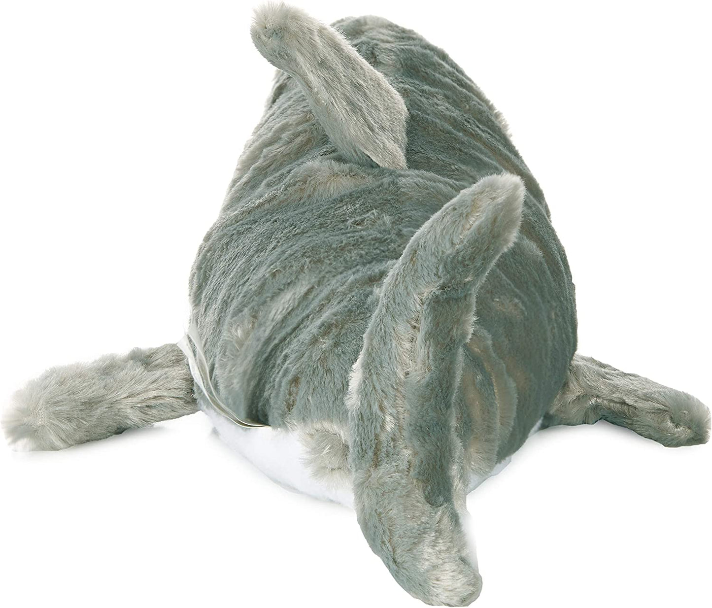 warm pals shark back