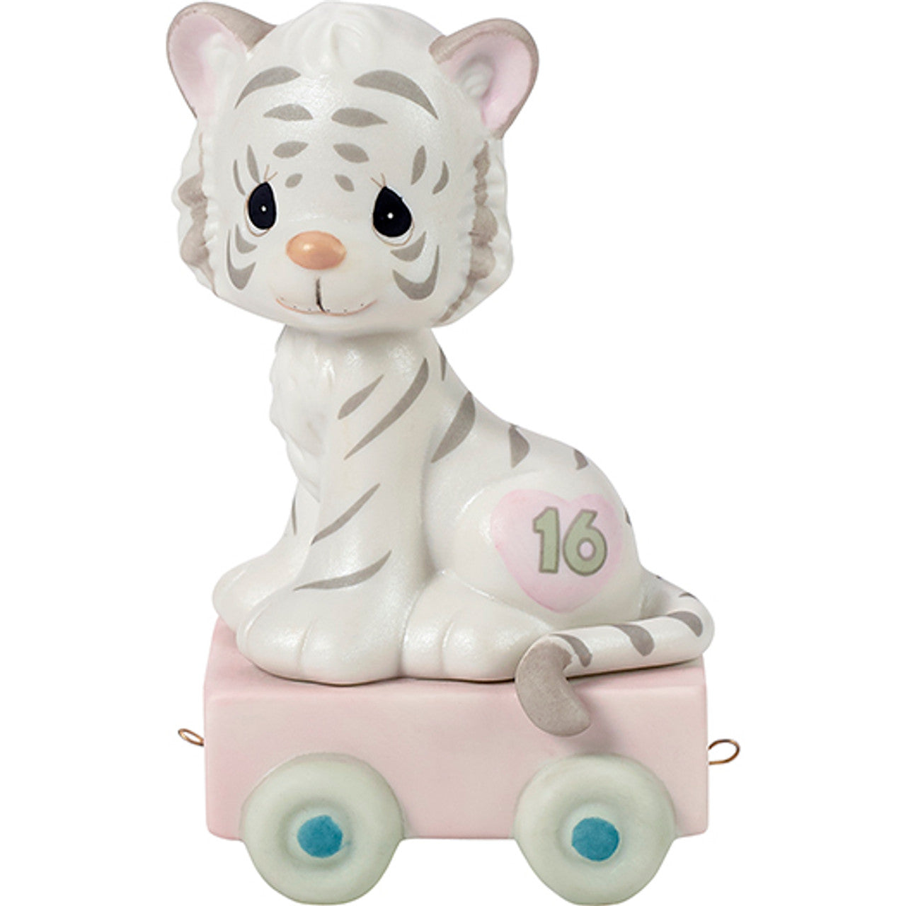 animal train age 16 front