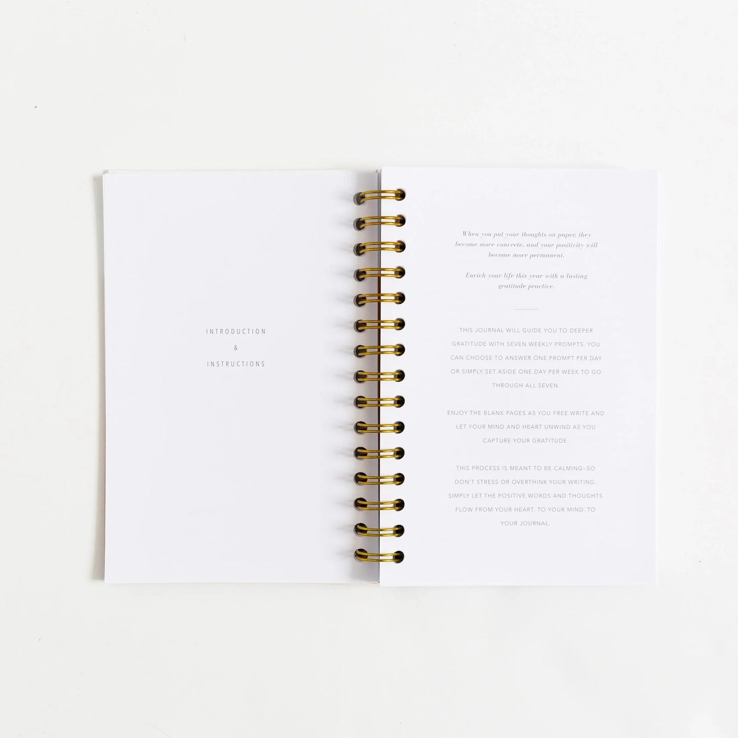 journal inside