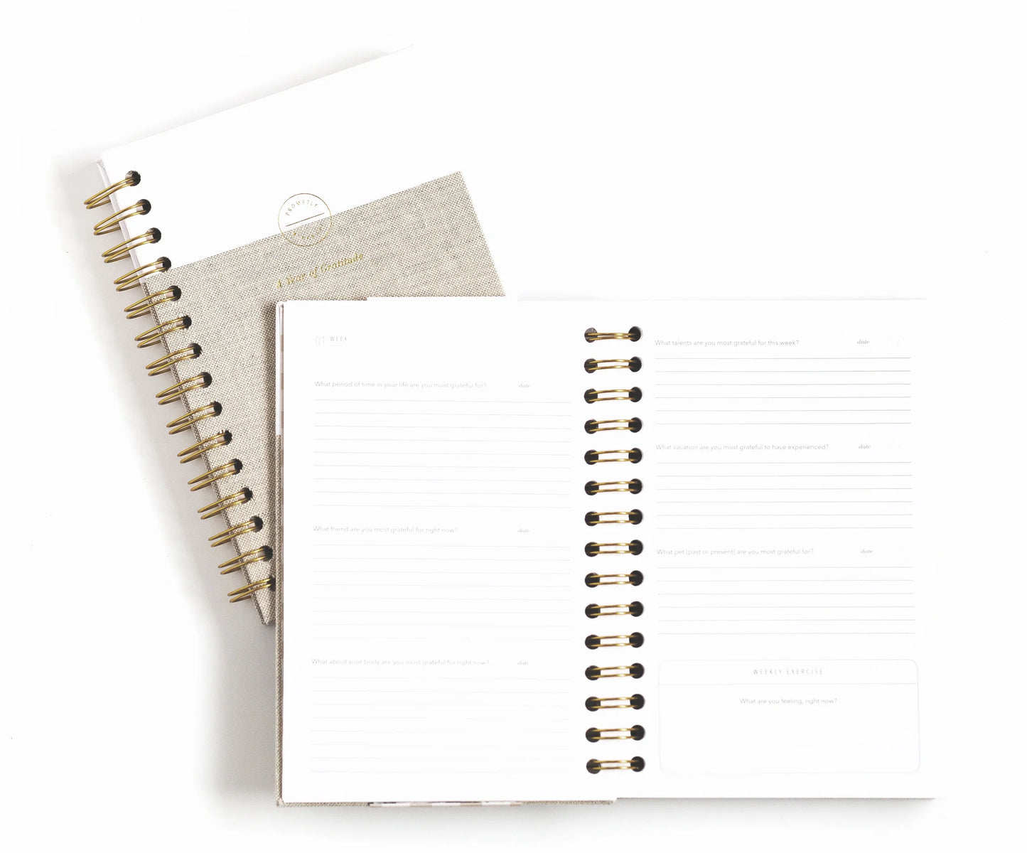 journal inside