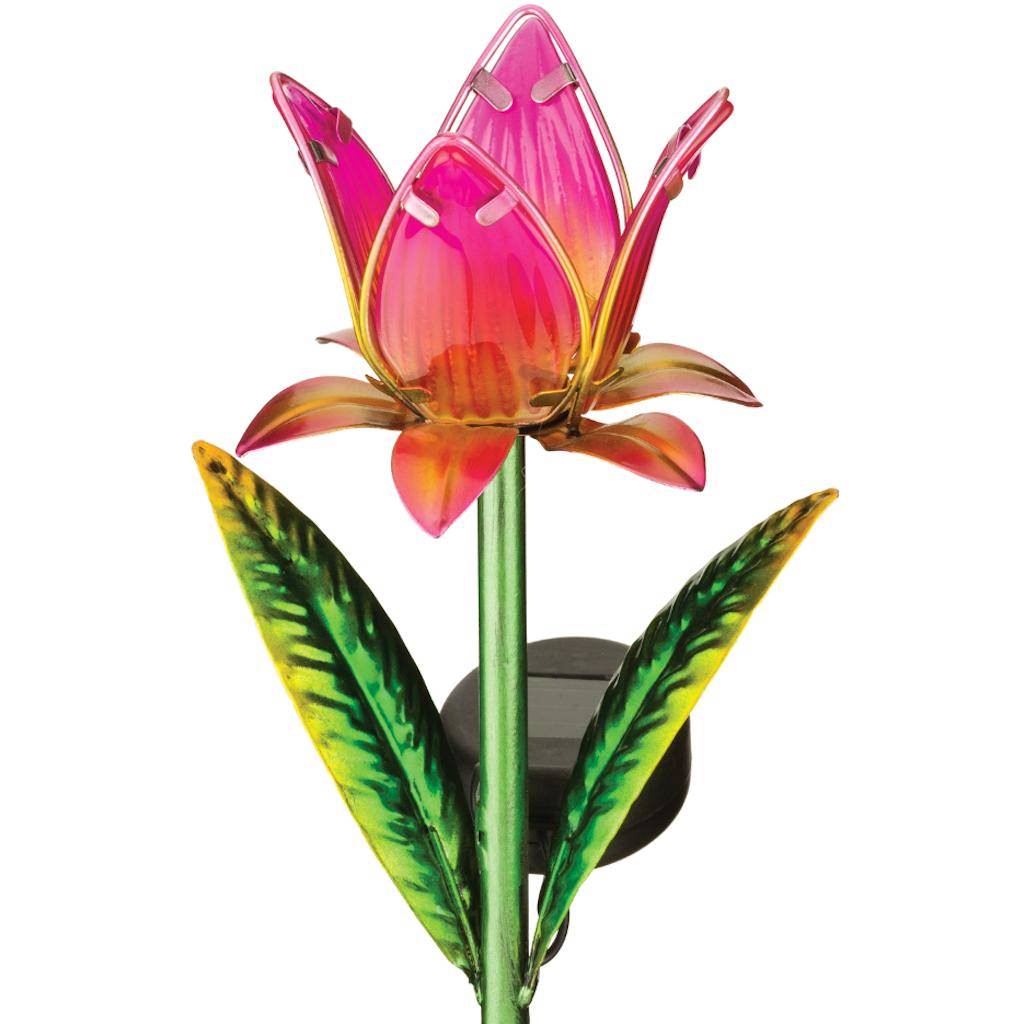 solar tulip