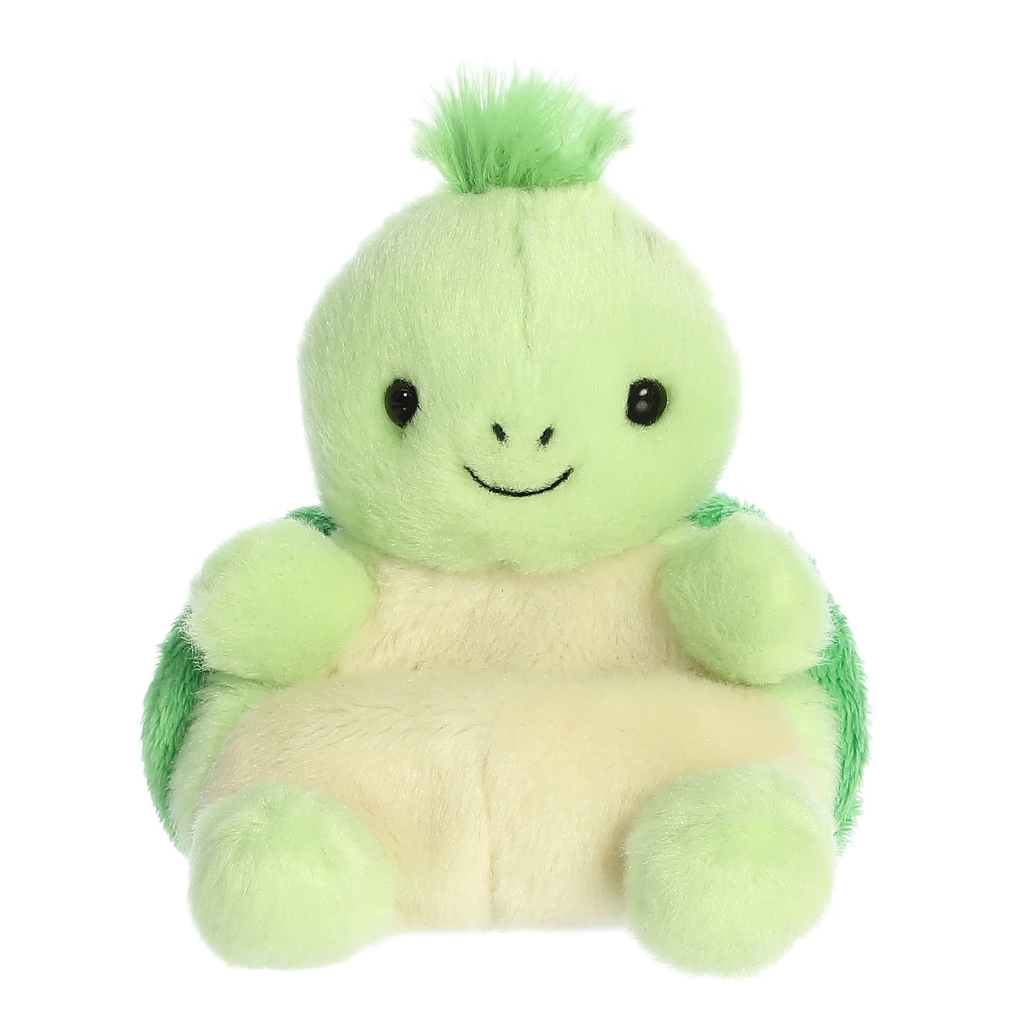 turtle palm pal front