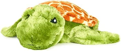 warm pals turtle front