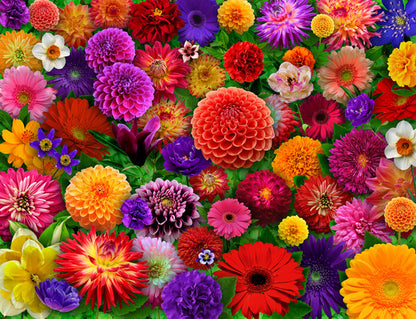 Puzzle image of colorful flowers