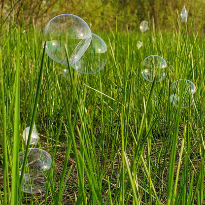 bubbles in grass