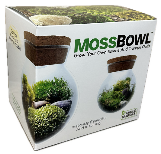 Moss Bowl Box