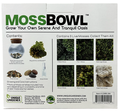 Moss bowl box back
