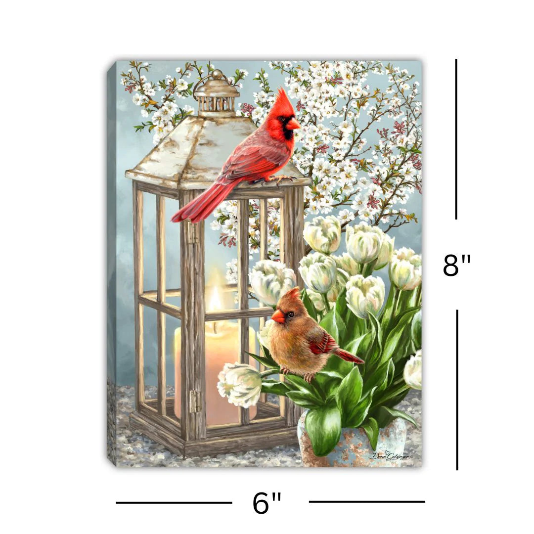 cardinal tabletop canvas measurements