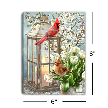 cardinal tabletop canvas measurements