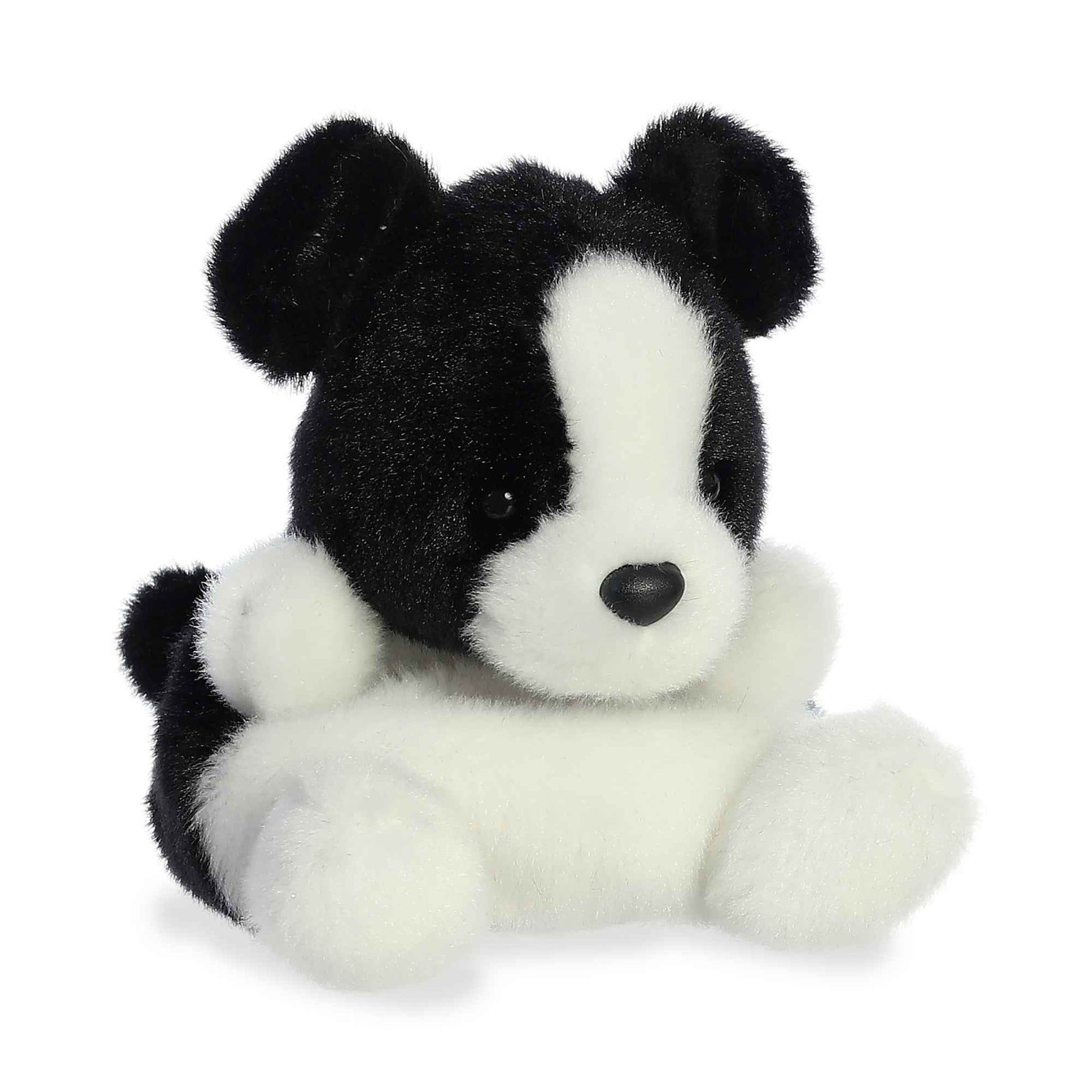 black and white dog palm pal front side