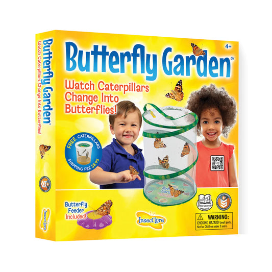 butterfly garden box
