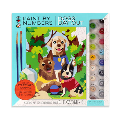 paint by numbers box front