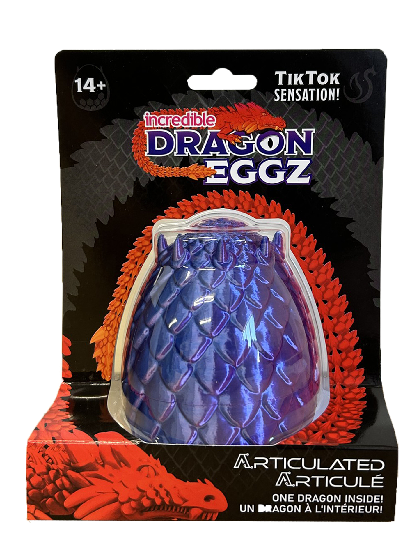 blue/purple dragon egg