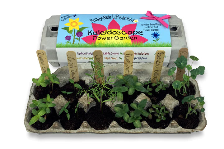 Garden kit with growing plants
