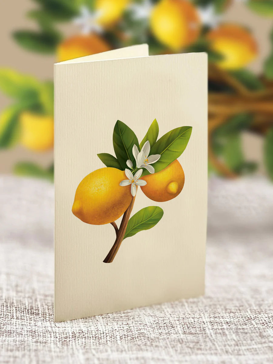lemon blossom notecard