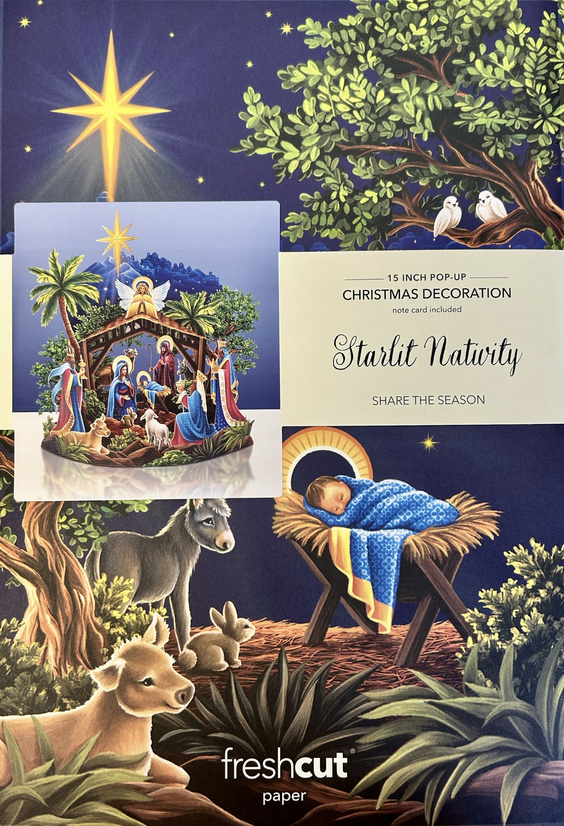 Starlit nativity card envelope