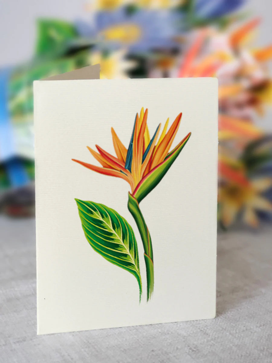 Tropical bloom notecard