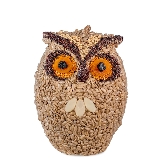 Whoo-lio Owl Front