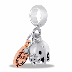 pig and coin  charm