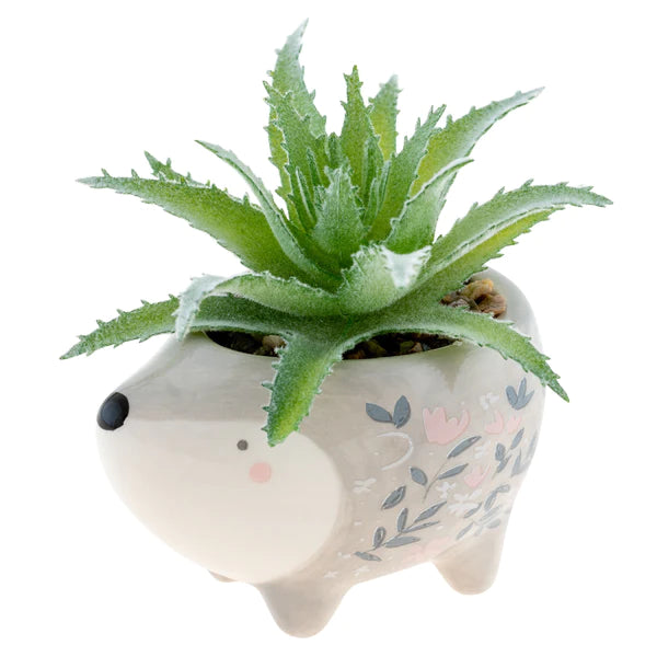 hedgehog succulent pot